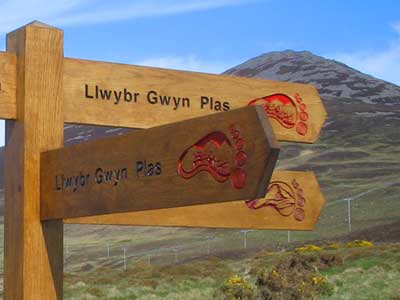 Llwybr Gwyn Plas